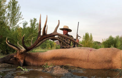 406 Inch (Official) Bull Taken with New Two-Seventy Cartridge: The 6.8 Western