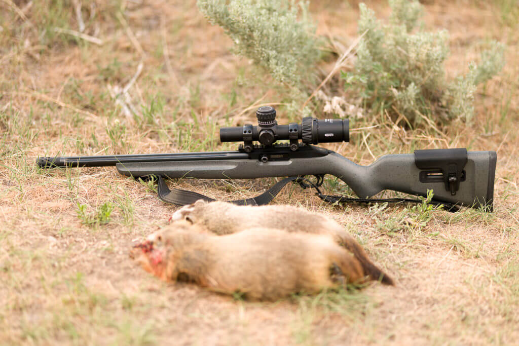 World's First Left-handed 10/22: Ruger's 10/22 Competition Rifle Left-Handed Model