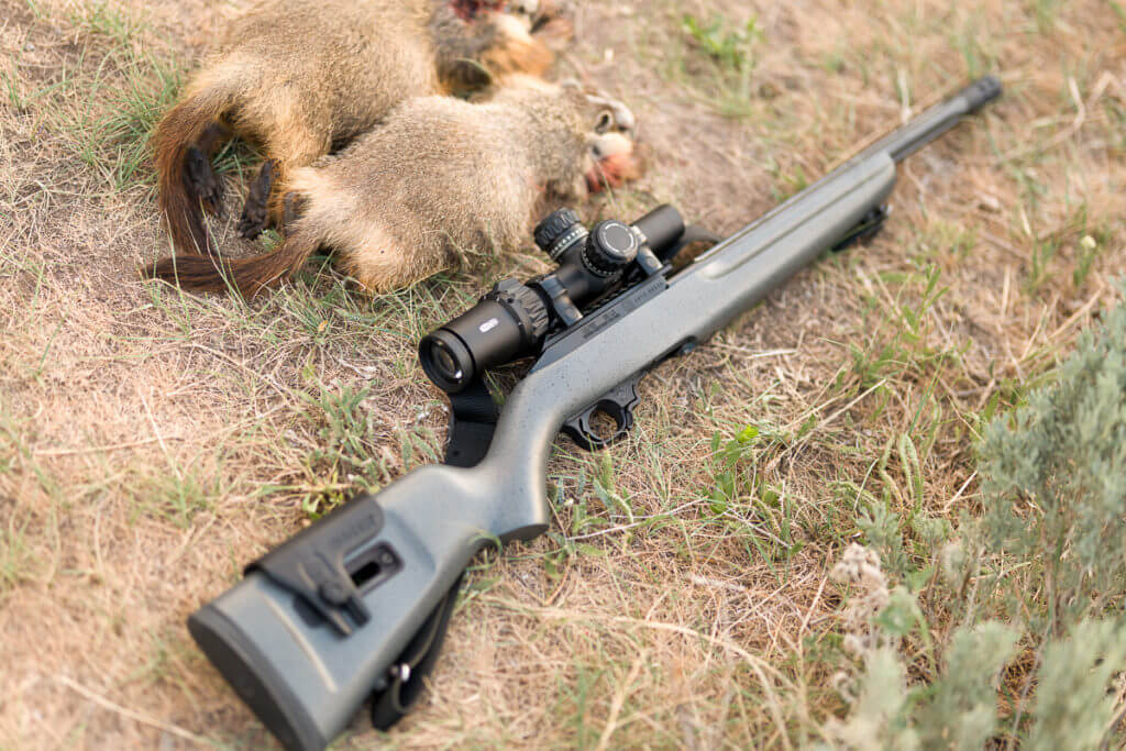 World's First Left-handed 10/22: Ruger's 10/22 Competition Rifle Left-Handed Model