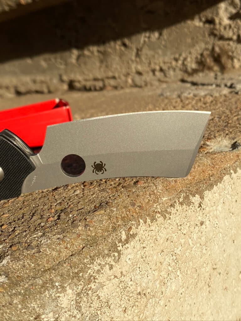 Spyderco ROC picture of the blade