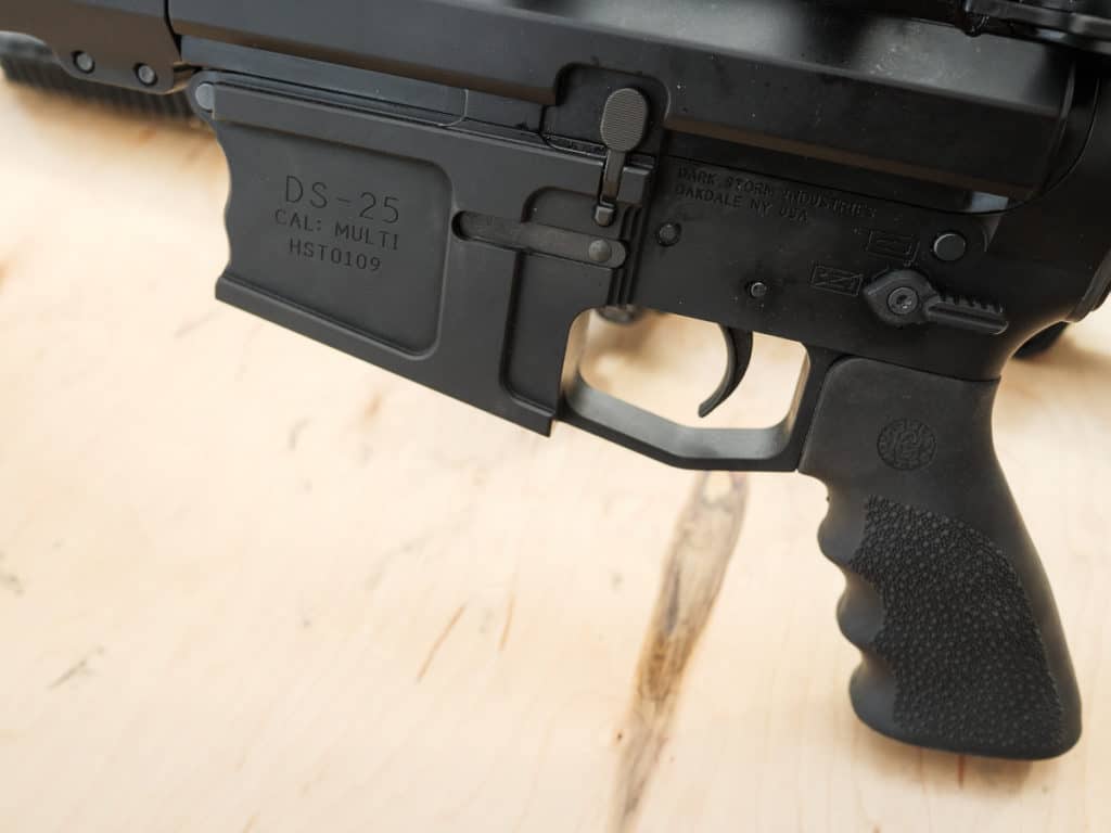 Small-Frame, Big Bang!  Dark Storm Industries .308 AR -- SHOT Show 2022