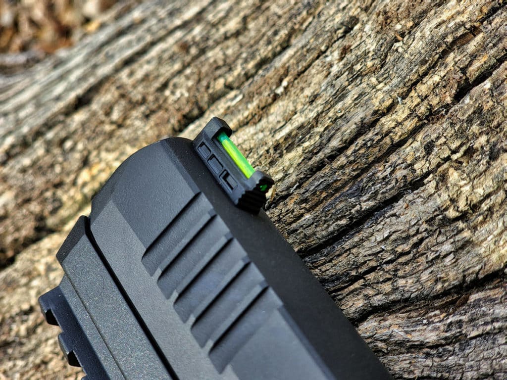 SIG's NEW P322 Rimfire - Fully Tested w/18 Different Types of Ammo!
