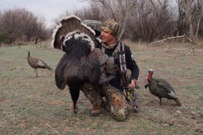 Tag A Pressured Public-Land Longbeard with Archery Tackle