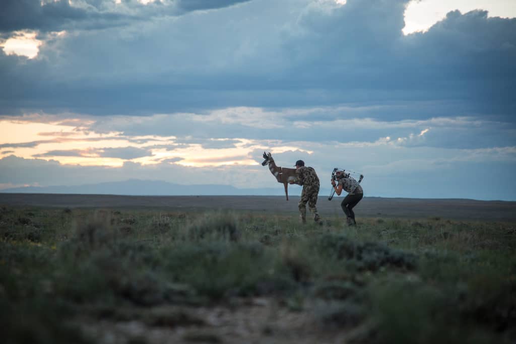 Go Ahead, Decoy That Pronghorn!