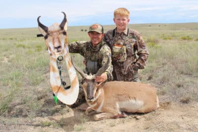 Go Ahead, Decoy That Pronghorn!