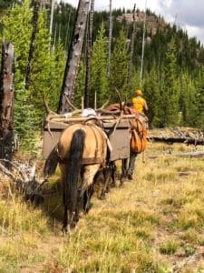 Take the Shot? A Hard-Core Hunter Gets a Shot at a Public Land Elk with a Light-for-Elk-Caliber. Should He Take the Shot? Presented by: Badlands