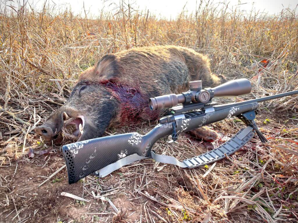 Weatherby Ultralight Mark V Backcountry 2.0 TI with a dead wild hog