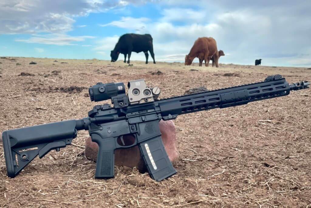 Smith & Wesson Volunteer XV Pro topped off with Eotech HWS and G45 magnifier in a field with cows in the background