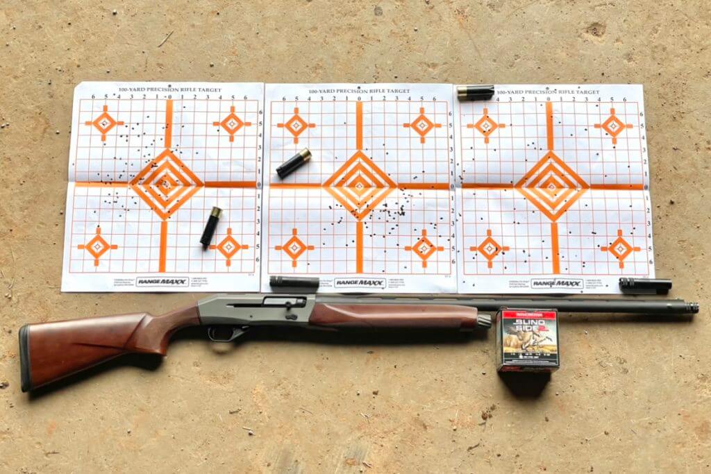 CZ 1012 patterned with targets