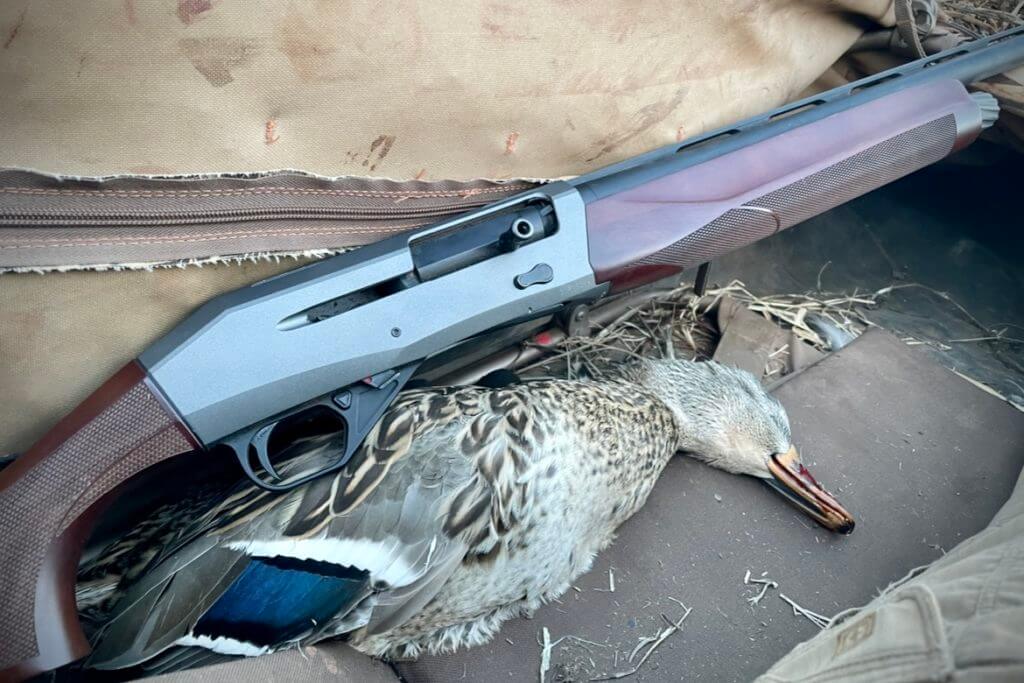 CZ 1012 with duck